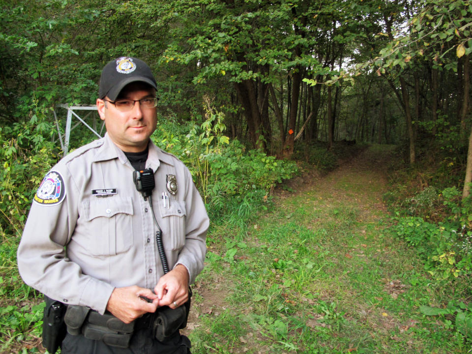 In this Sept. 18, 2012, photo Ed McCann, a warden with the Wisconsin Department of Natural Resources, stands near a property where the DNR caught someone suspected of digging wild ginseng root illegally. Law enforcement officials say the price of wild ginseng, which can be worth as much as $600 a pound, has pushed people looking for quick money, particularly the unemployed and drug addicts, into the woods, never mind permits, permission or preservation. (AP Photo/Carrie Antlfinger)