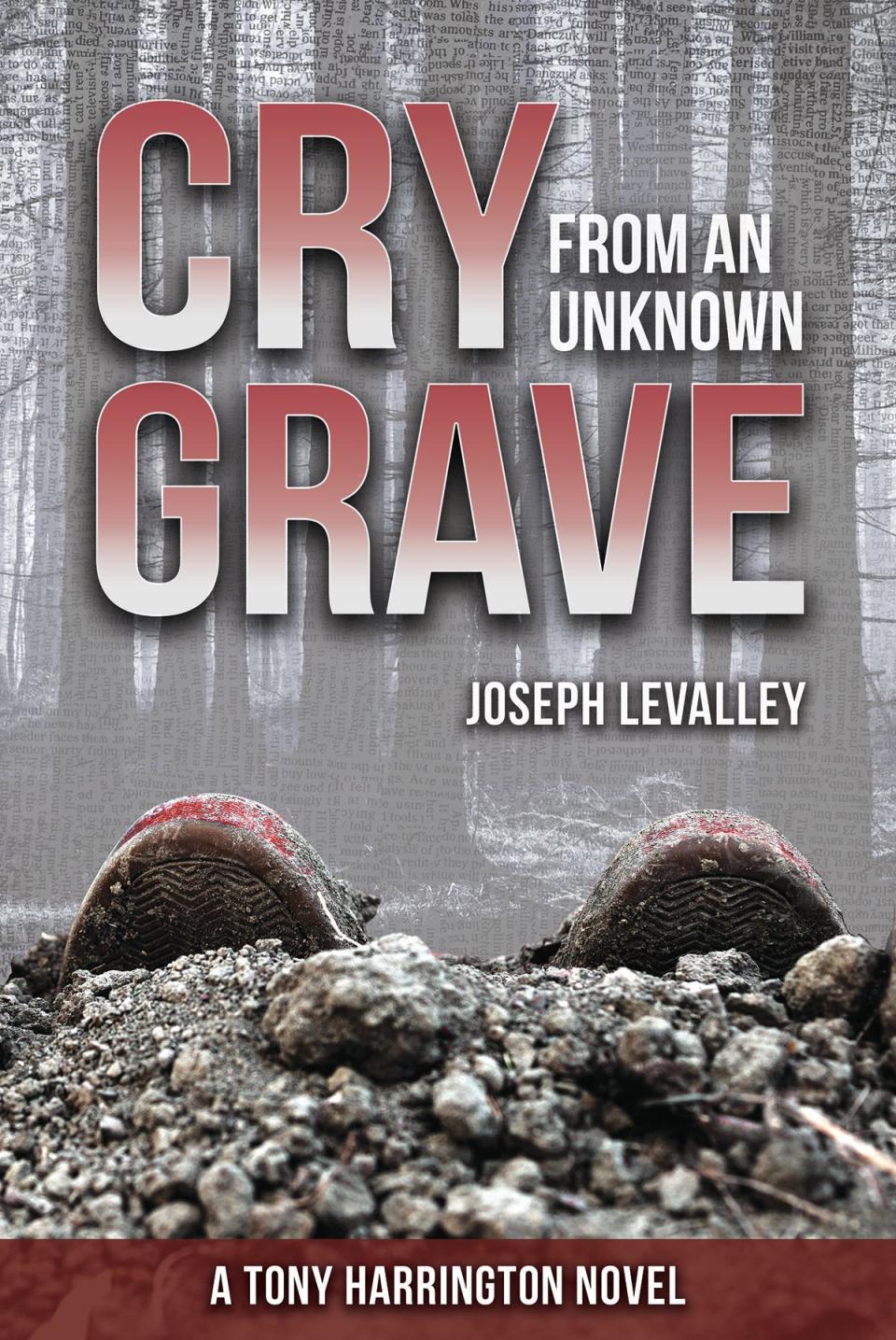 Cry From and Unknown Grave (2020), by Joe LeValley.