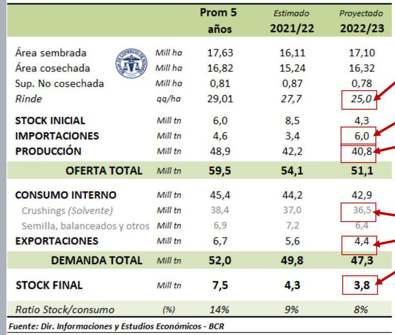 El panorama productivo "realista" para la soja