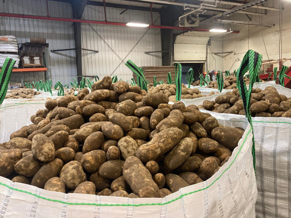 In this photo provided Jay LaJoie, russet potatoes produced by Maine growers are packaged to be loaded on a rail car headed for Washington State, at a warehouse owned by LaJoie Growers LLC, in Van Buren, Maine, Jan. 17, 2022. Maine is shipping potatoes all the way to the West Coast over the winter of 2021-2022, thanks to a banner harvest in Maine and a drought for growers in the West. (Jay LaJoie via AP)