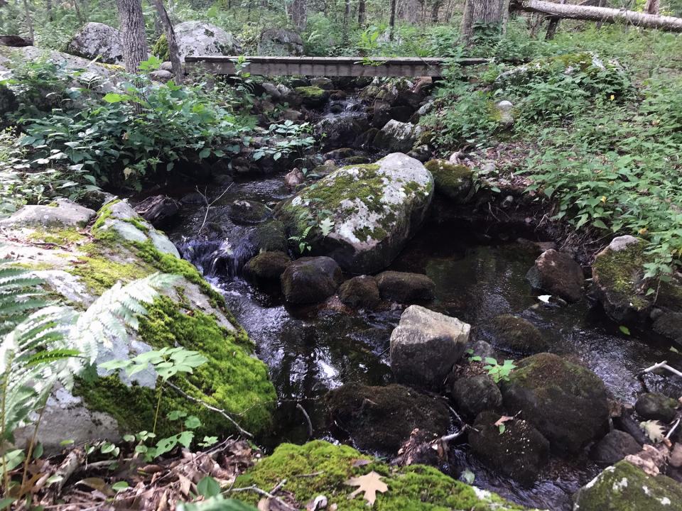 Bridges cross rocky stream beds in heavily wooded sections of the Arcadia Management Area.