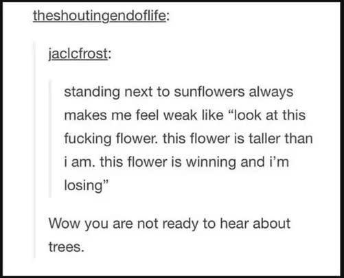 On flowers: