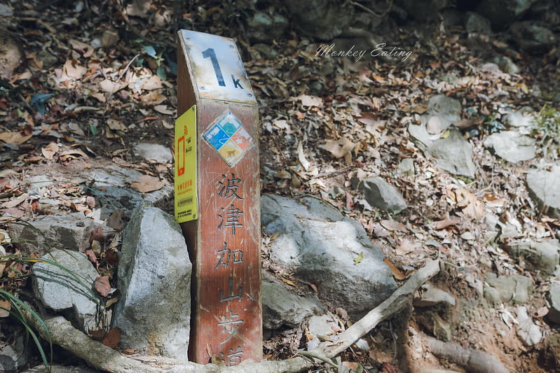 谷關七雄｜波津加山