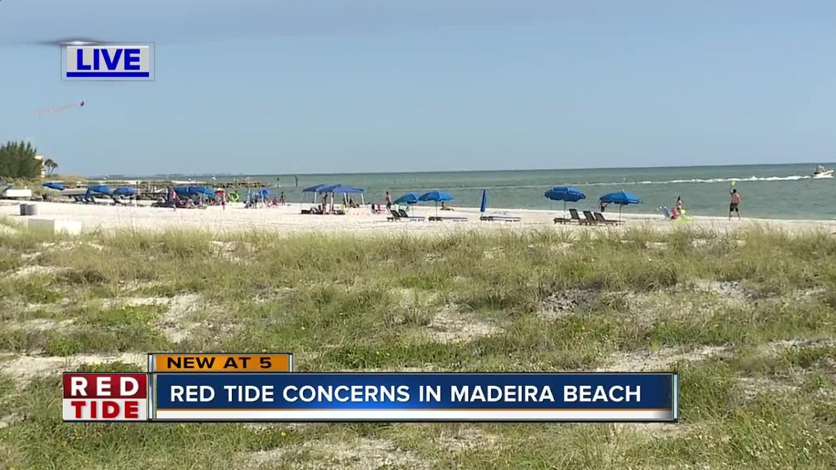 Red tide concerns in Madeira Beach