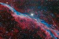 American photographer Robert Franke used narrowband filters to increase the detail in this image of the 'Witch's Broom' nebula - the remnants of an ancient explosion in deep space. Part of the Veil Nebula, the ‘Witch’s Broom’ is the glowing debris from a supernova explosion – the violent death of a massive star. Although the supernova occurred several thousand years ago, the gaseous debris is still expanding outwards, producing this vast cloud-like structure.