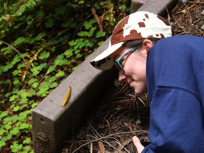 The writer lying on the ground to look at a banana slug in Redwoods National Park