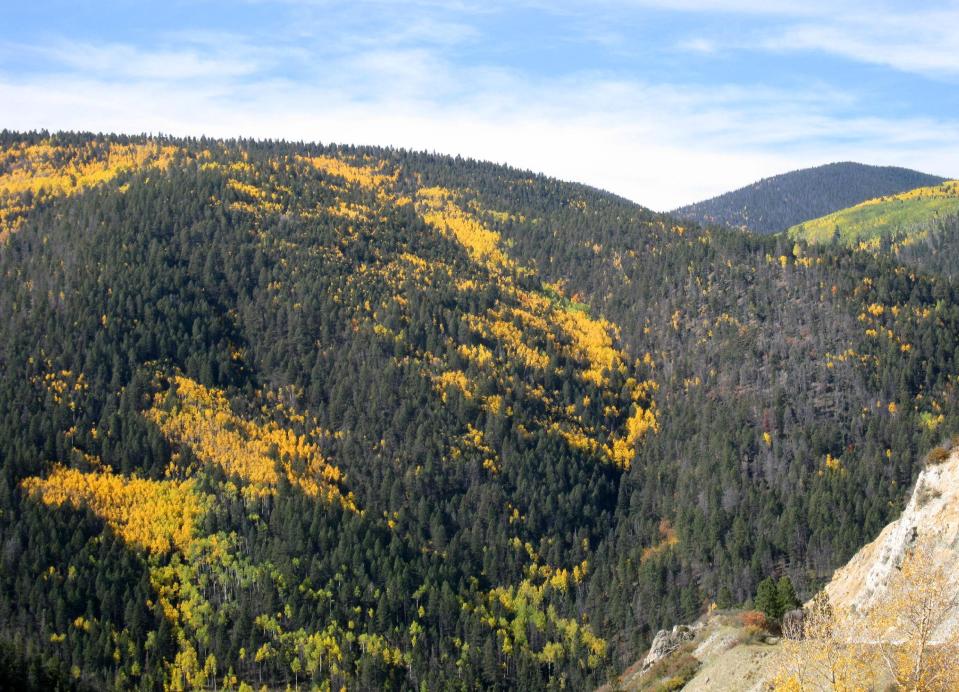 This Oct. 3, 2012 photo shows fall color along the 85-mile loop in Northern New Mexico known as the Enchanted Circle. Visitors can head out from Taos and take in scenery from Kit Carson National Forest, the Sangre de Cristo mountain range and the Moreno Valley, along with towns like Questa, Red River, Angel Fire and Eagle Nest. The region’s aspen trees turn golden for about two weeks, and while the timing can vary, the color usually peaks around the end of September or first week in October. (AP Photo/Beth J. Harpaz)