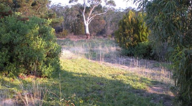 Mr Hopkins first land purchase. Source: Supplied / Sasha Hopkins