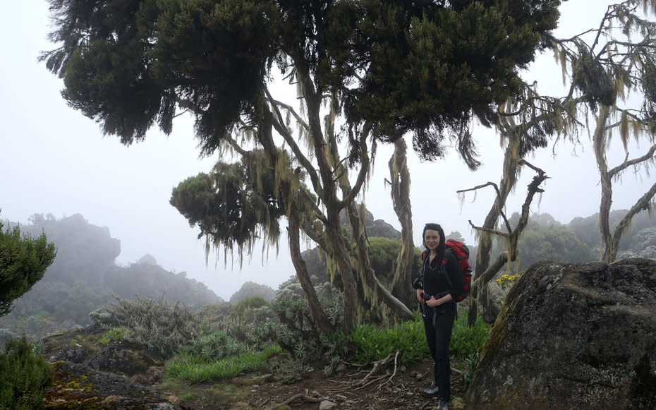 <p>This was taken about four hours after I summited Kilimanjaro. There is a long hike down to the last base camp. I was recovering from pretty bad altitude sickness here, but my friend made me pose in this surreal environment.</p>