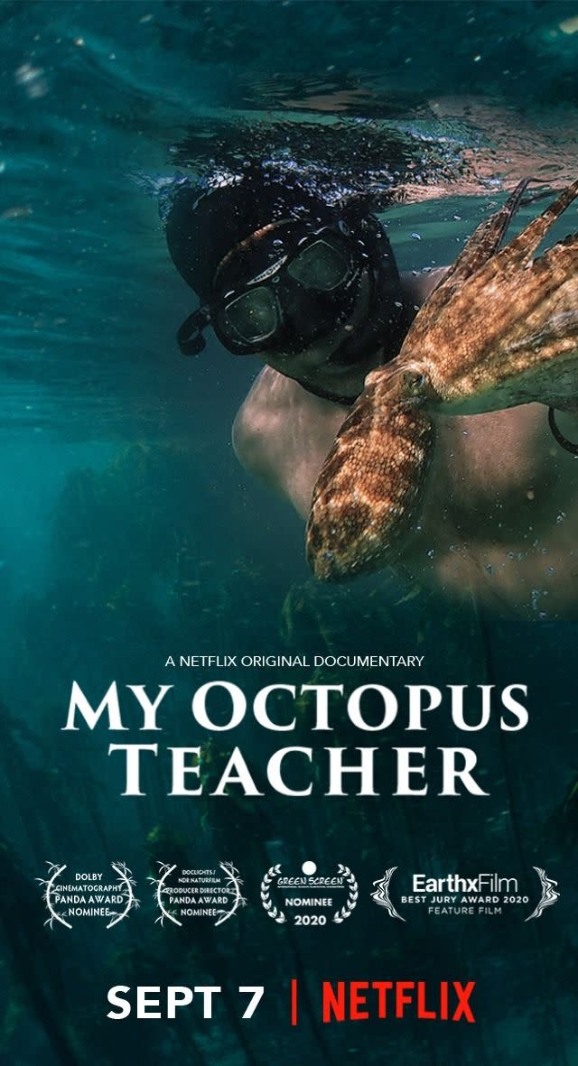 My Octopus Teacher