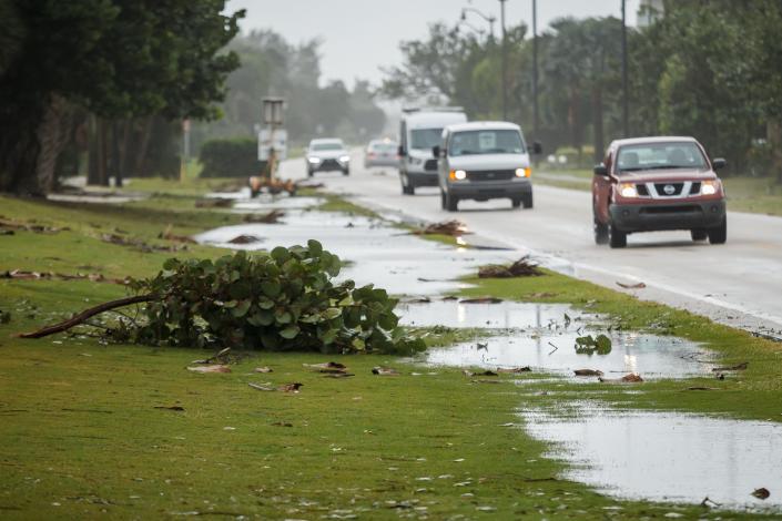 Leaf liter and wind-snapped vegetation sit in pooling waters on South Ocean Boulevard near the Par 3 Golf Course Nov. 9 following overnight winds from Tropical Storm Eta.