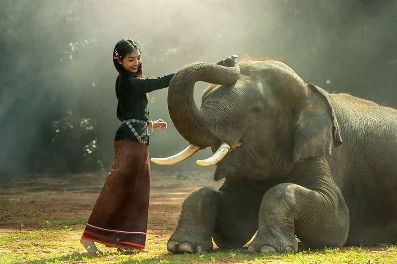 溫馴的大象一直是人們的好朋友。（示意圖／翻攝自pixabay）