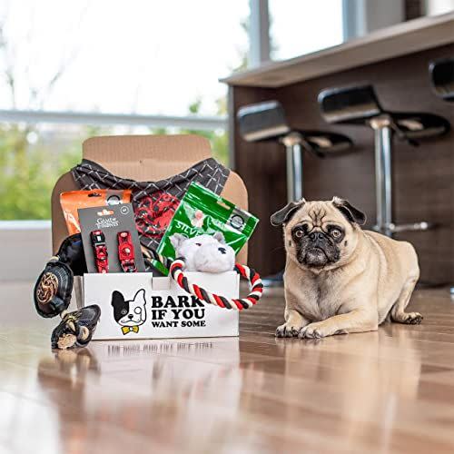 2) Premium Dog Products Subscription Box