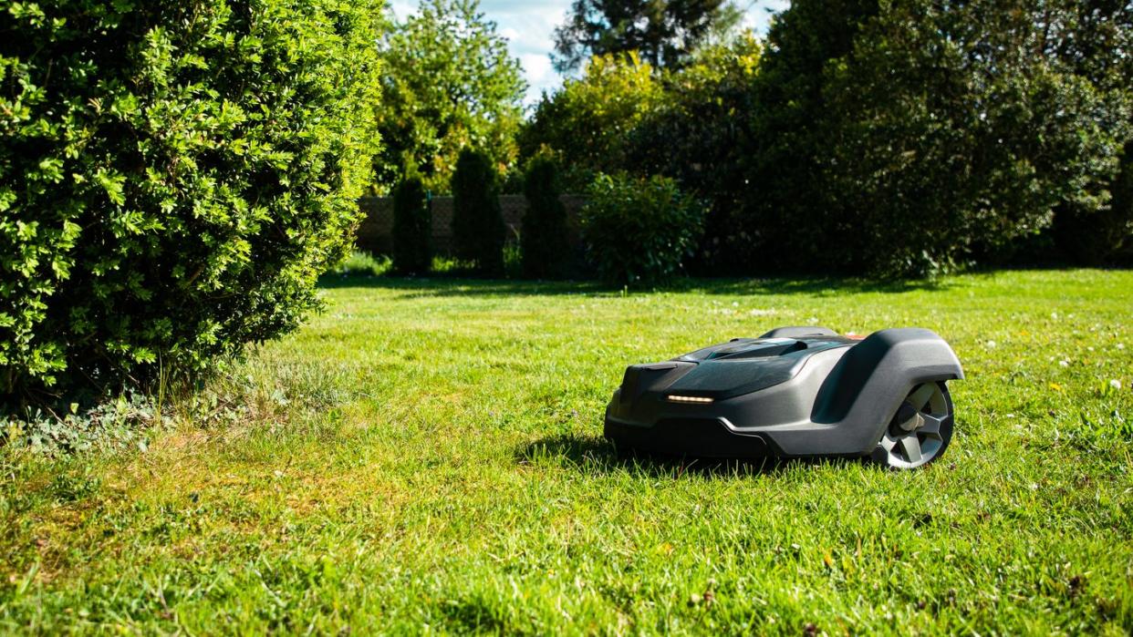 home garden hedge meadow and trees robotic mower