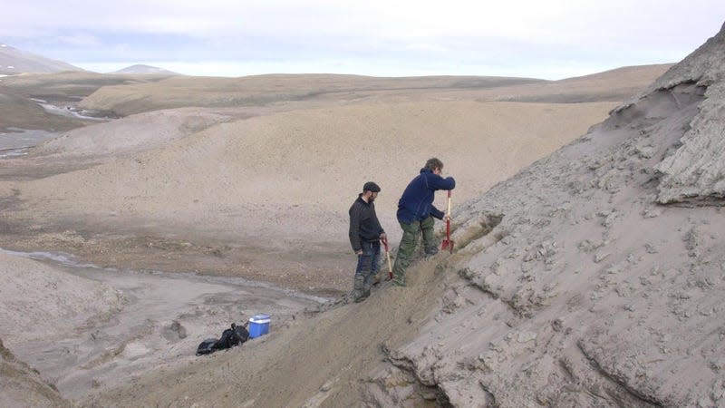Two researchers digging into a dune at Kap København.