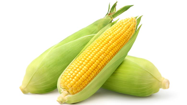Three corn ears against white