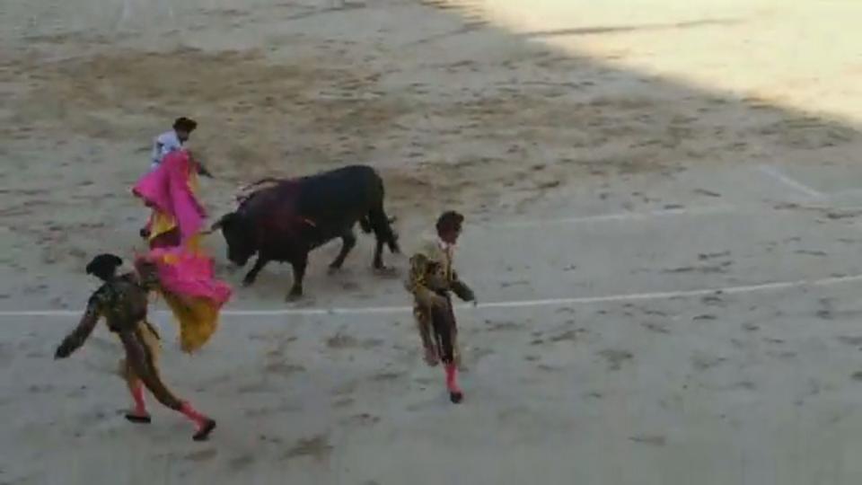 The Matador reportedly sustained two fractures and a 25-centimetre gash (CEN)