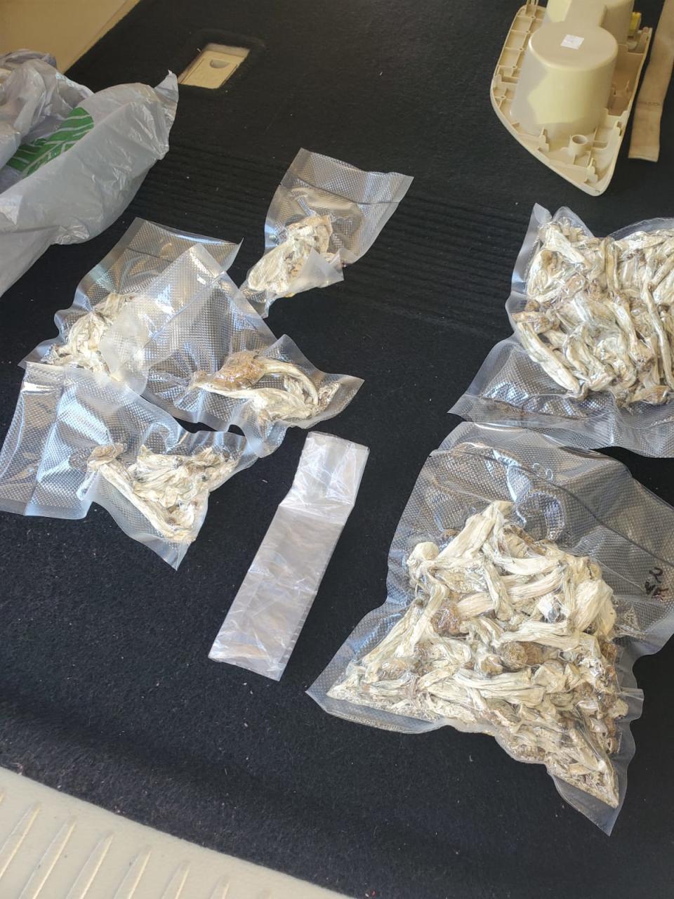 LSD and mushrooms (Courtesy of the Walton County Sheriff’s Office)