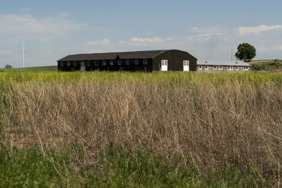 A historic mess hall, at left, and barracks, at right, sit at the Minidoka National Historic Site, Thursday, July 6, 2023, in Jerome, Idaho. During Minidoka's operation, each mess hall would serve one of more than 40 housing blocks comprising of a dozen barracks. (AP Photo/Lindsey Wasson)