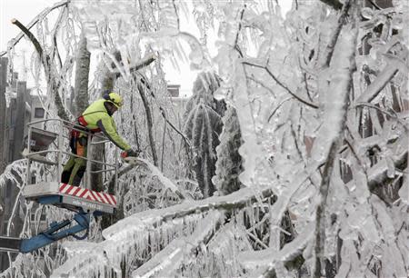 A worker cuts ice-covered branches with chainsaw in Postojna February 5, 2014. REUTERS/Srdjan Zivulovic