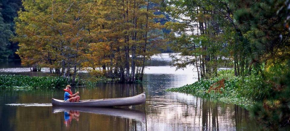 Martin Dies, Jr. State Park