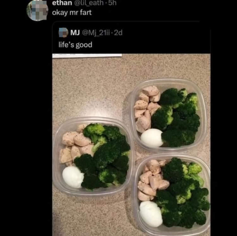 A tweet by MJ showing three containers filled with chicken, broccoli, and boiled eggs. Ethan replied sarcastically, "okay Mr fart."