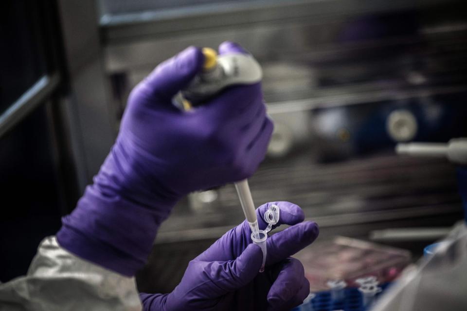 A scientist at work in a virus laboratory (AFP via Getty Images)