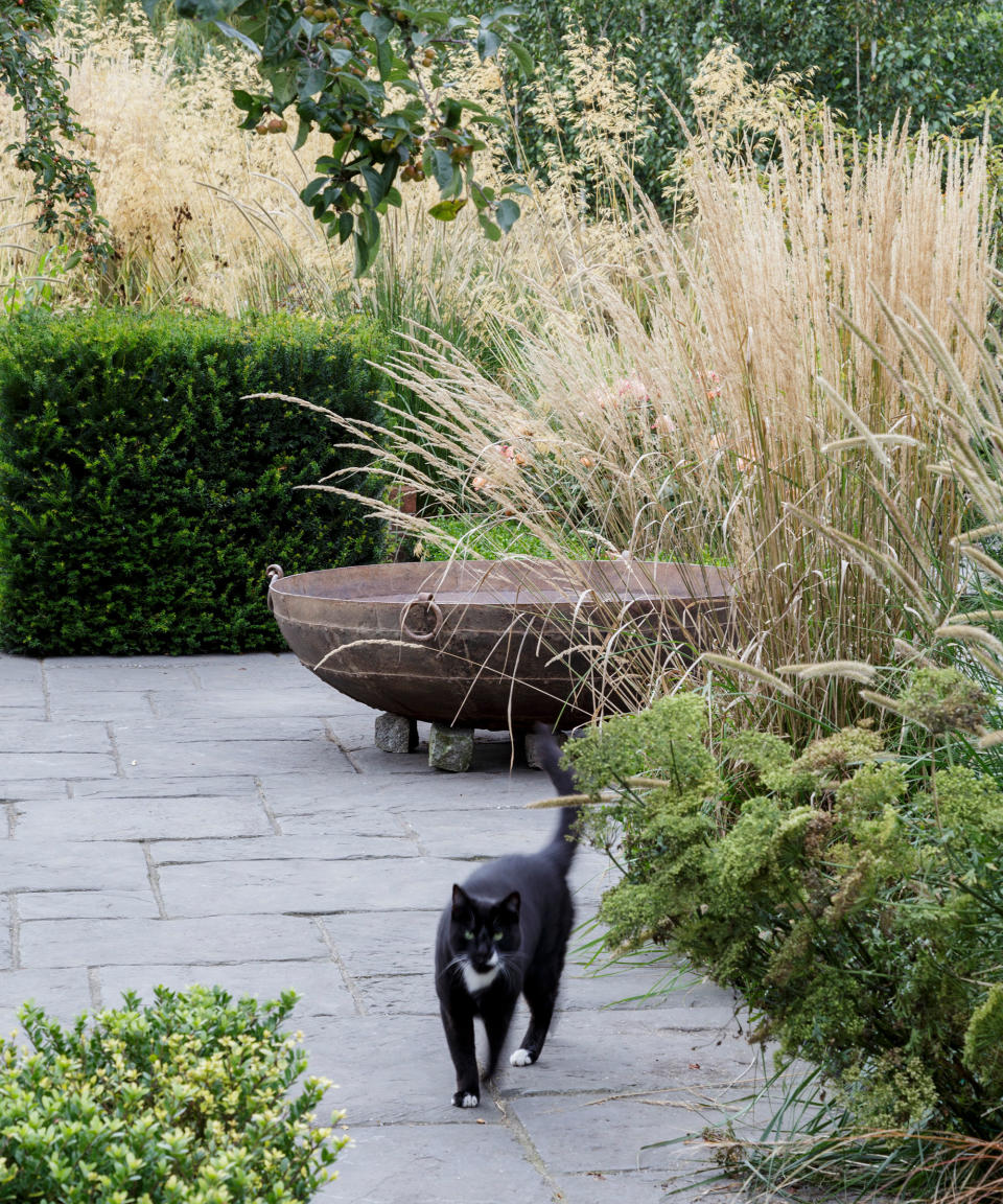 Introduce drama with ornamental grasses