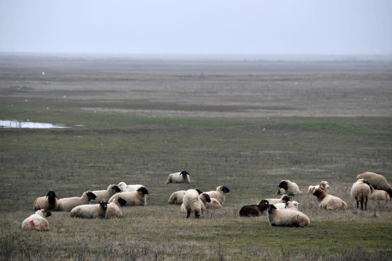 The case brought by Dumitru Bleja, 63, has turned into an unusual power struggle between US military commanders and the stubborn local shepherd