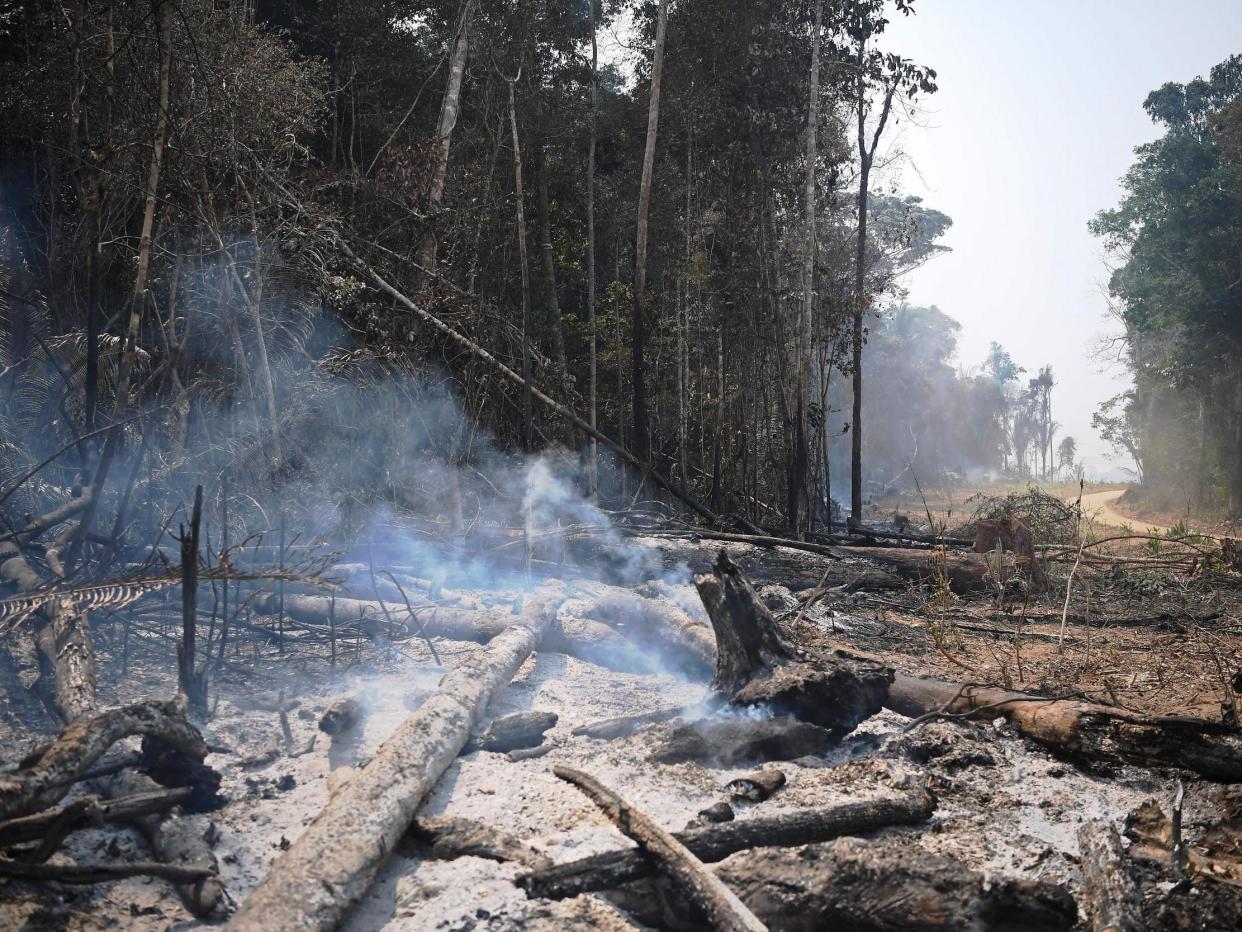 Swathes of forest in the Amazon are bulldozed each year to grow soya: Getty