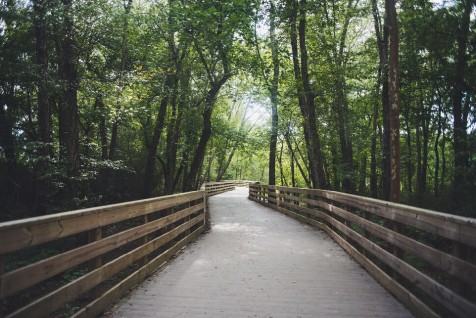 A nature preserve Atlanta Georgia.