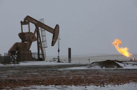 Natural gas flares are seen at an oil pump site outside of Williston, North Dakota in this March 11, 2013 file photo. REUTERS/Shannon Stapleton/Files