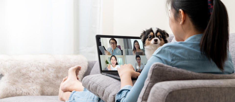 Banner of Asian woman on sofa and team on laptop screen talking and discussion in video conference and dog interruption.Working from home, Working remotely, Pets interruption and Self-isolation.