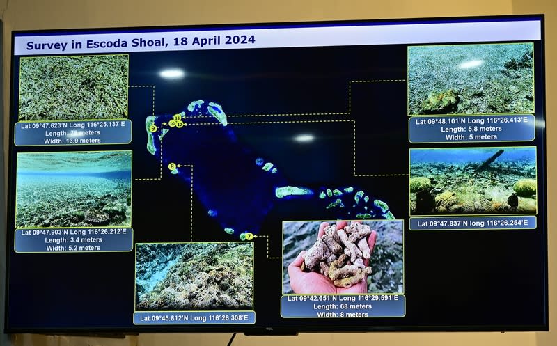 菲律賓在仙賓礁附近發現12處遭傾倒珊瑚碎石 菲律賓海岸防衛隊官員13日說，菲方4月18日在仙賓 礁附近發現12處被傾倒的死珊瑚或珊瑚碎石，疑為中 國在該處填海造陸。 中央社特約記者Edward Bungubung攝  113年5月13日 