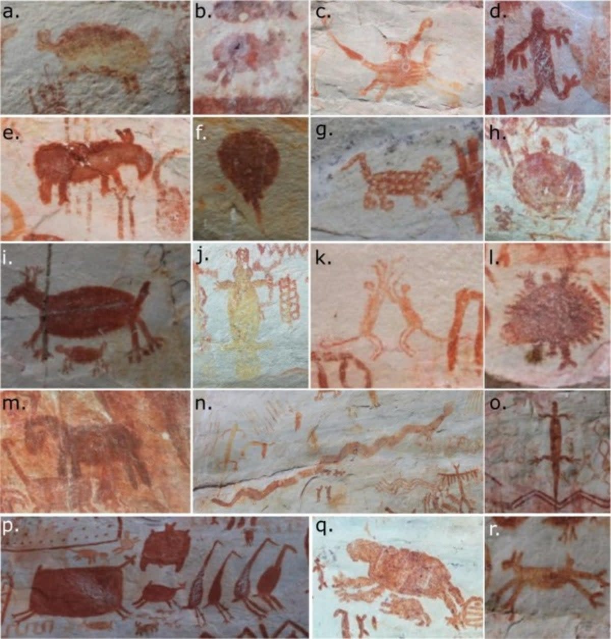 Examples of animals represented at Cerro Azul. a) armadillo, b) paca, c) coati, d) amphibian, e) tapir, f) stingray, g) feline, h) turtle, i) deer, j) crocodile/caiman, k) monkey, l) porcupine, m) horse, n) serpent with legs, o) lizard, p) deer, bat, spider, aquatic birds, q) sloth, r) canid (Journal of Anthropological Archaeology)