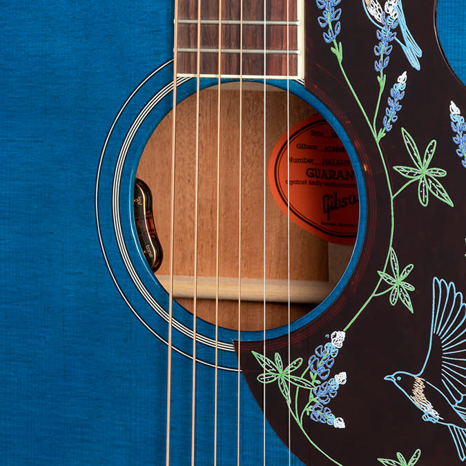 Gibson Miranda Lambert Hummingbird