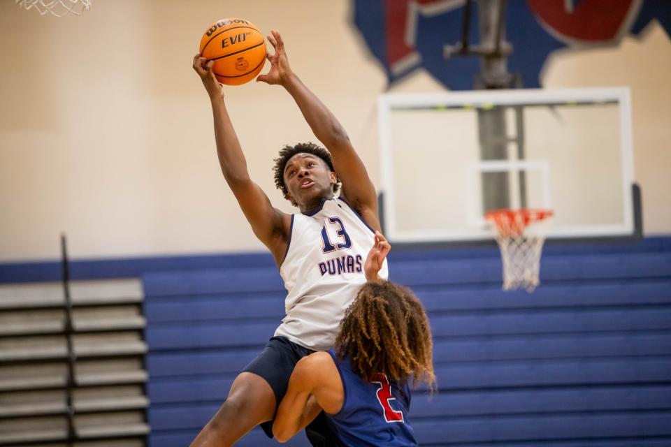 Perry Pumas D'Andre Harrison catches a rebound during basketball practice at Perry High School's gym in Gilbert on Nov. 7, 2023.