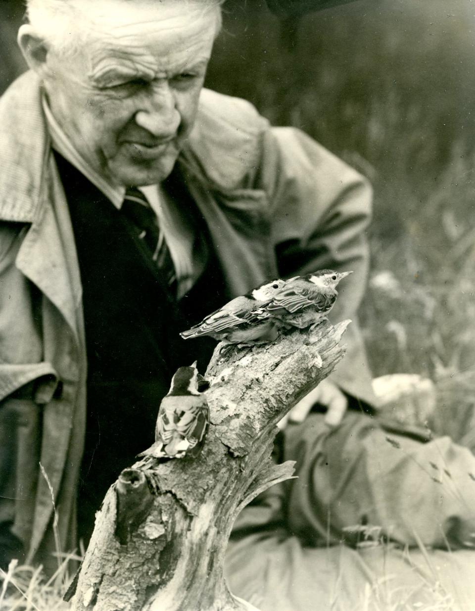 Taunton native and world-renowned ornithologist, Arthur Cleveland Bent.