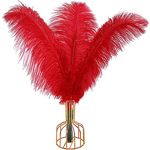 Tharaht Red Ostrich Feathers 12pcs Large Natural Bulk 14-16inch 35cm-40cm for Wedding Party Centerpieces Halloween and Home Decoration Feathers