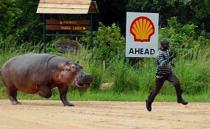 <p>Nun aber mal gaaanz schnell! Dieser Hippo scheint nämlich ganz gar nicht happy (fröhlich) zu sein – aber er kommt ja auch nicht von dem Hersteller, der Schokolade für Kids herstellt, nicht wahr? (Bild: icanhas.cheezburger.com) <br></p>