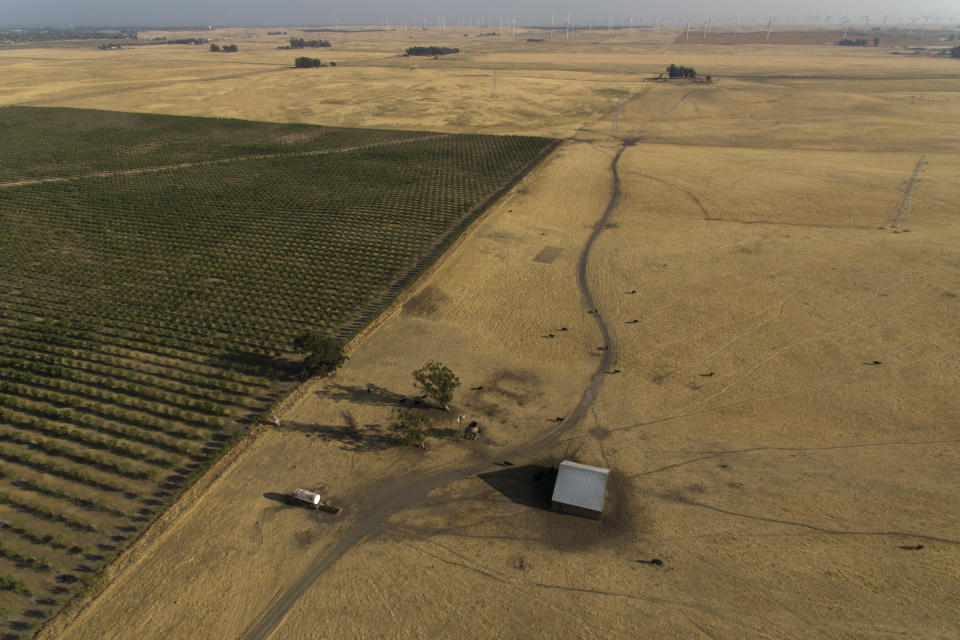 In this aerial photo is farmland and wind farms in the background in rural Solano County, Calif., Wednesday, Aug. 30, 2023. Silicon Valley billionaires and investors are behind a years-long, secretive land buying spree of more than 78 square miles (202 square kilometers) of farmland in Solano County with the goal of creating a new city. (AP Photo/Godofredo A. Vásquez)