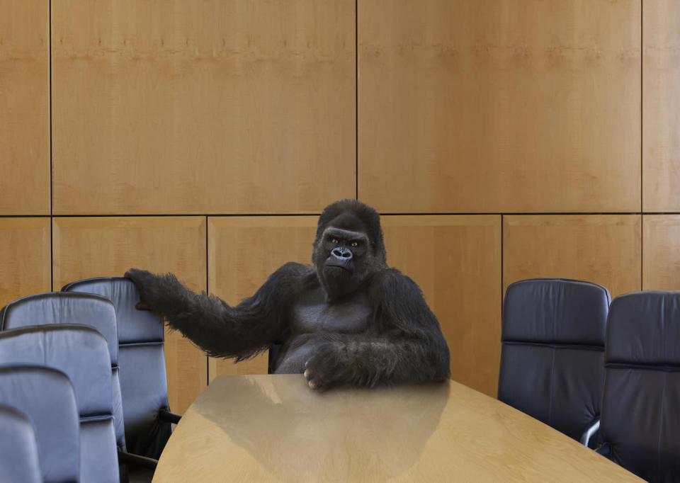 A menacing gorilla sits at the head of the boardroom table and beckons the viewer to sit next to him.
