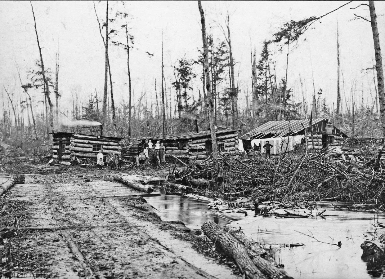 Area lumber camp showing overcutting of the woodlands, early 1900s.