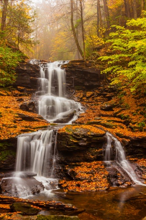 Scenic view of waterfall in forest,Ricketts Glen State Park,United States,USA