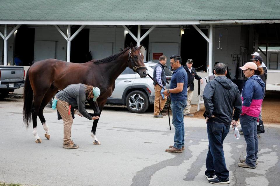 Dr. Nicholas Smith, the chief veterinarian of the Kentucky Horse Racing Commission, checks the fitness of Forte after the Kentucky Derby favorite tested his bruised foot on the Churchill Downs track Saturday morning. Watching at right is Forte’s owner, Mike Repole.