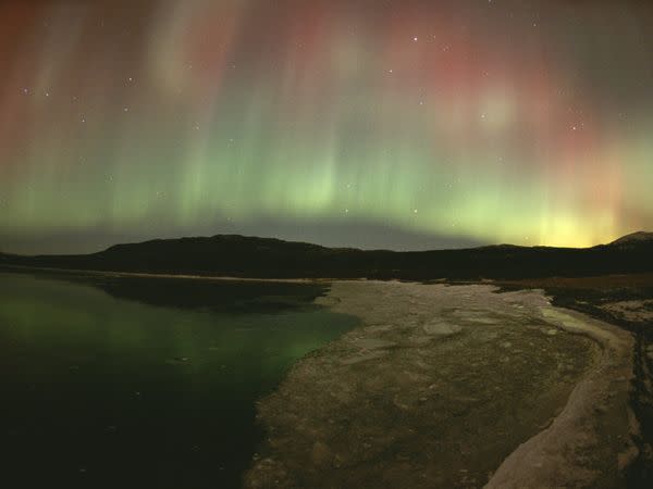 An aurora adds intense color to the skies above Canada's Yukon. Hundreds of thousands of tourists make summer pilgrimages to the Arctic frontier, where they find glaciated peaks, untouched wilderness, scenic splendors, and abundant wildflowers and wildlife. Photographer Paul Nicklen has spent two decades capturing images of the Arctic and Antarctica, a "remote, raw, unforgiving, beautiful, and yet extremely fragile world."