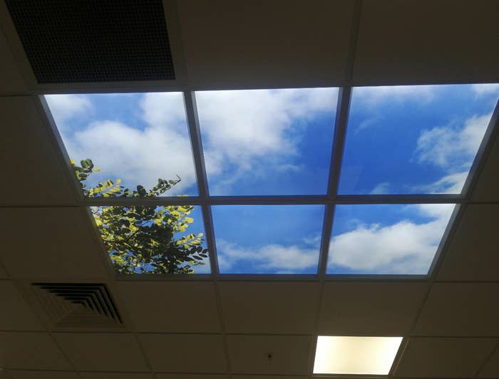 A fake skylight on the ceiling