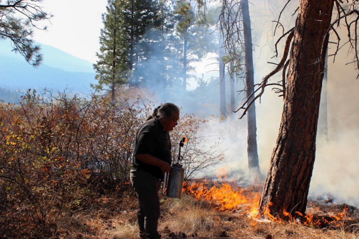 Joe Gilchrist, a member of the Skeetchestn Indian Band of the Secwepemc (Shuswap) Nation, conducts a cultural burn on Skeetchestn tribal land in British Columbia, Canada in this April 2024 photo. Indigenous people of North America used fire on the landscape for a variety of societal goals for centuries, and Gilchrist hopes to restore the practice to wider use now to combat catastrophic, large wildfires.