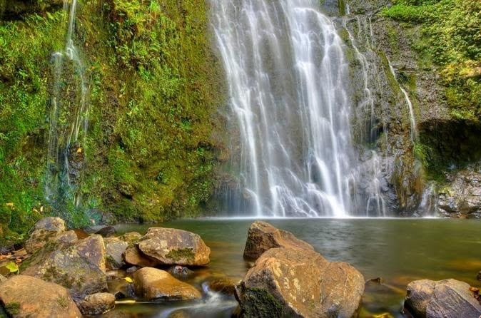 East Maui Waterfalls and Rainforest Hike, Maui, Hawaii