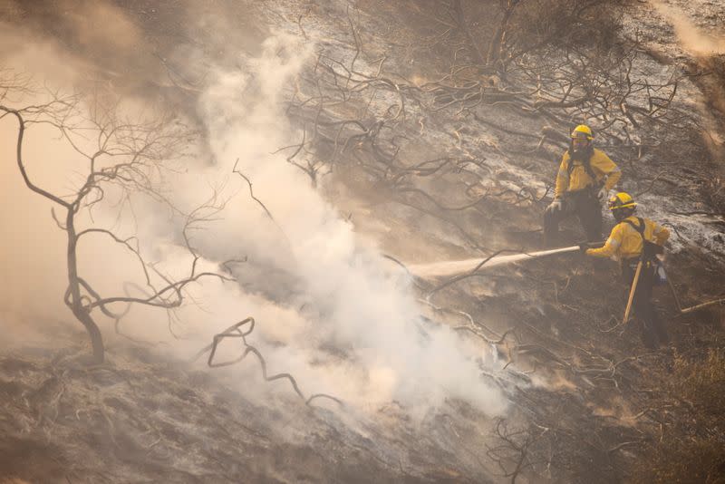 Firefighters battle a wind driven wildfire near Irvine, California